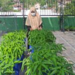 SDIT Al Huda Wonogiri Luncurkan Inovasi BIDIK BUNDER